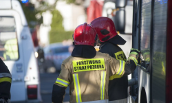 Uszkodzona rura z gazem, pomoc uwięzionej sarnie [raport strażaków]