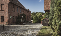 Winnice Jaworek poszukują pracowników na cztery stanowiska