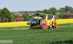 Dachowanie pojazdu, pożary i usuwanie gniazd os [raport strażaków]