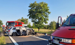 Wyławianie śniętych ryb, wypadek na DK94, zabezpieczenie lądowiska LPR [raport strażaków]