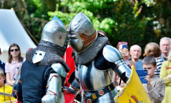 W sobotę kolejny turniej rycerski w Zamku Wojnowice [Program wydarzenia]