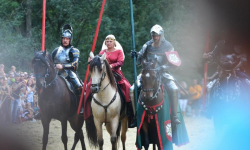 Rycerski turniej ponownie w Zamku na Wodzie w Wojnowicach [ZDJĘCIA]