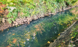 Powraca temat ścieków płynących starym korytem Średzkiej Wody. Problem nie został rozwiązany?