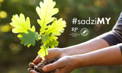 Czwarta edycja akcji #sadziMy.