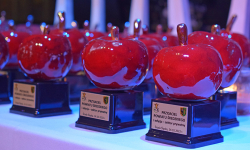 Pierwsza edycja gali "Przyjaciół Powiatu Średzkiego" za nami