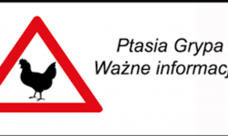 Ptasia grypa na terenie powiatu. Komunikat dla hodowców drobiu