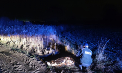 66-letnia mieszkanka powiatu średzkiego odnaleziona 