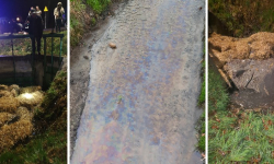 Zanieczyszczenie rowu Rokitna w Środzie Śląskiej. Interweniował WIOŚ