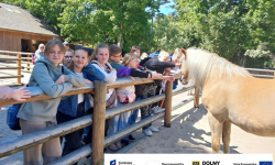 Gmina Kostomłoty: Projekt edukacyjny zakończony