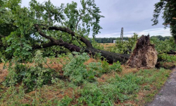 Dziesięciokrotnie interweniowali usuwając skutki burzy. Najbardziej ucierpiał Szczepanów! [Zdjęcia]