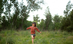 Puchar Śląska oraz puchar burmistrza Miękini w biegu na orientację. Trwają zapisy