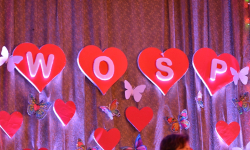 Wielka Orkiestra Świątecznej Pomocy po raz kolejny zagra w Kostomłotach