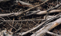 Zakupiono rębak do cięcia i rozdrabniania gałęzi. Urządzenie będzie dostępne dla mieszkańców gminy