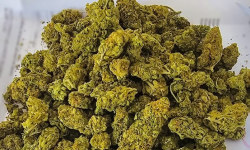 Tymczasowy areszt za posiadanie narkotyków