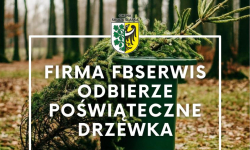 Sprawdź, jak i kiedy FBSerwis odbierze poświąteczne żywe drzewka