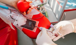 W środę kolejna akcja krwiodawstwa. Sprawdź, gdzie oddać krew w Środzie Śląskiej