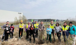 Ponad 3000 nowych drzewek pojawiło się w sobotę na terenie LSSE przy DK94