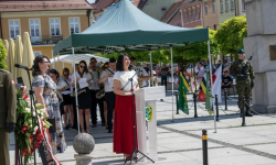 Środa Śląska uczciła Święto Wojska Polskiego