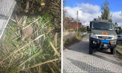 Niewybuch przy ul. Sadowej w Malczycach – interweniowali strażacy i saperzy