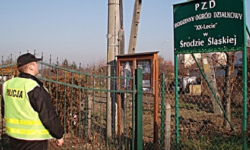 Działki, strychy i piwnice pod kontrolą