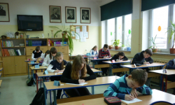 Walczyli z bykami w Udaninie