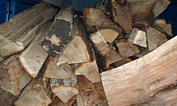 Po dwóch tygodniach znowu wpadli