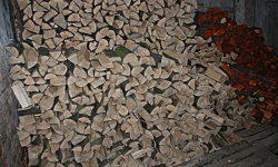 Zatrzymany za kradzież drewna