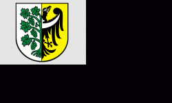 V sesja Rady Miejskiej w Środzie Śląskiej